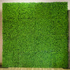 Green Hedge Wall Backdrop
